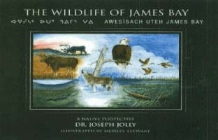 The Wildlife of James Bay